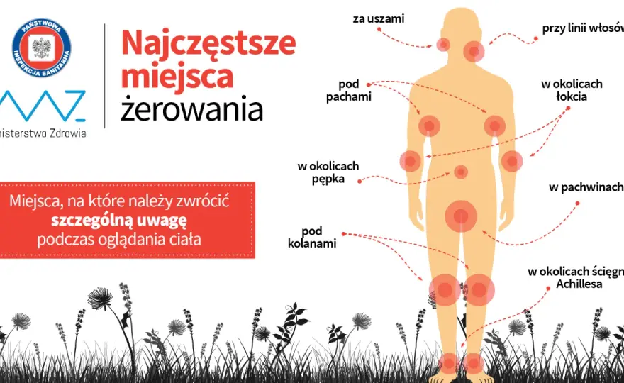 Co przyciąga kleszcze i gdzie ryzyko jest największe?